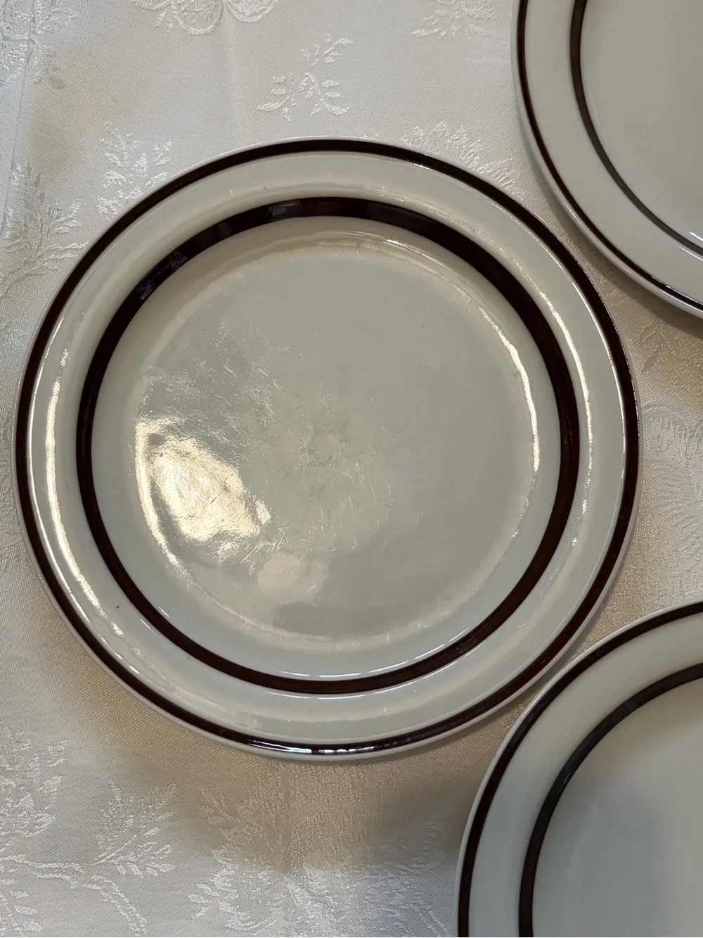 Orbit Stoneware Cream Dinner Plates Brown 221 with Double Rim